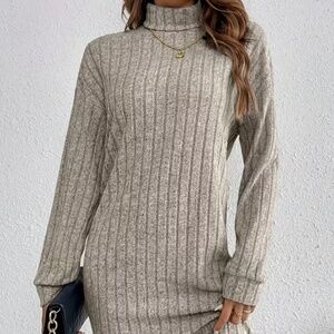 Long Sleeved Turtleneck Beige Dress